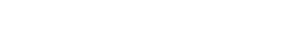 Numerobis Logo weiß